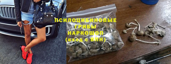 ешки Алзамай