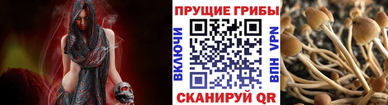 Галлюциногенные грибы ЛСД  Купить закладки  Кохма 